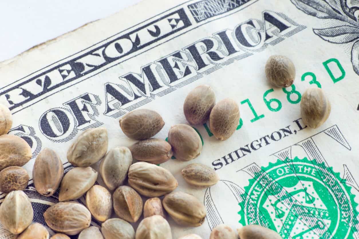 White Collar Crimes Make Their Way into the Marijuana Industry