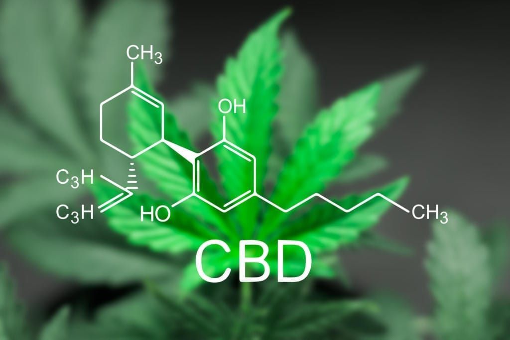 What You Need to Know about CBD Oil in Colorado