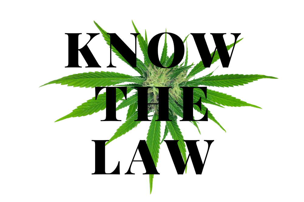 Colorado Marijuana Law Attorney